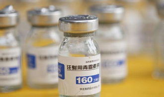 兽药青霉素的安全用法 低成本、高效用药指南