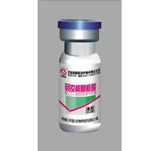 免疫核糖核酸在兽药与饲料领域的应用 35941网一站式产品指南